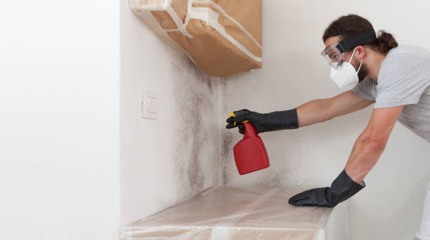 Professional Bathroom Mold Removal technician working in Pineville, KY