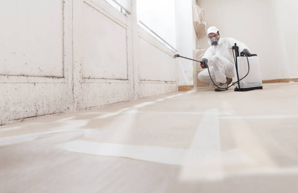 24/7 Emergency Bathroom Mold Removal experts in Pineville, KY